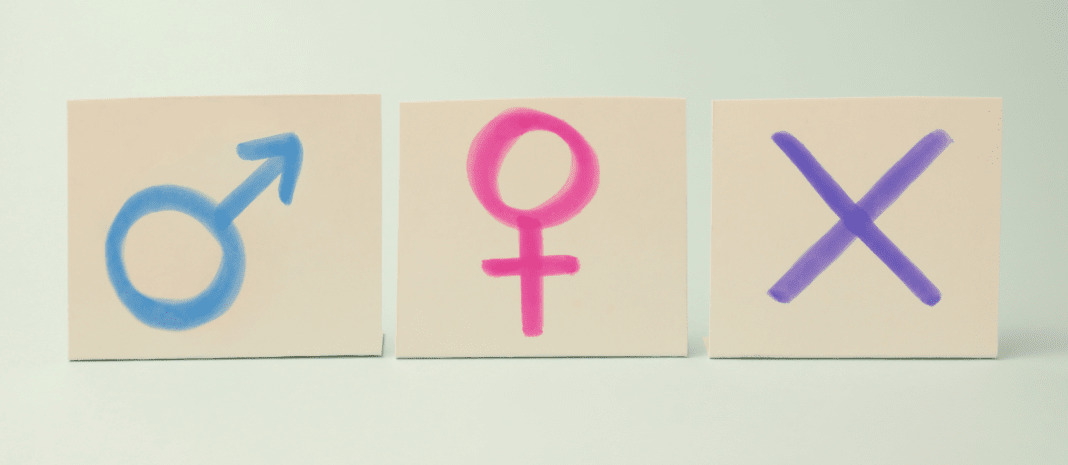 Blue male symbol, pink female symbol and purple nonbinary/gender non-conforming/unspecified gender symbol